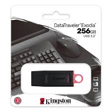PEN DRIVE 256GB DTX